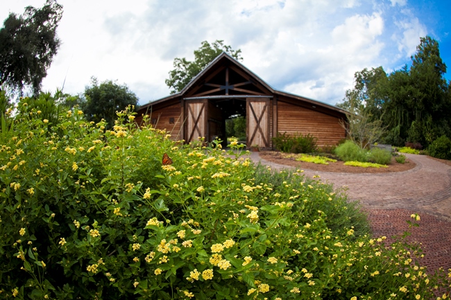 Georgia Southern University Botanical Garden Holds First Online Auction