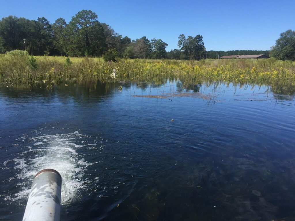 Department of Biology researchers bring fish hatchery back to life