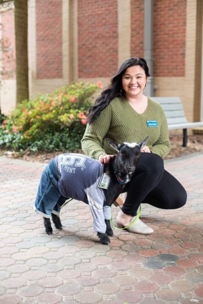 How a goat named Moonpie is helping special needs students to socialize