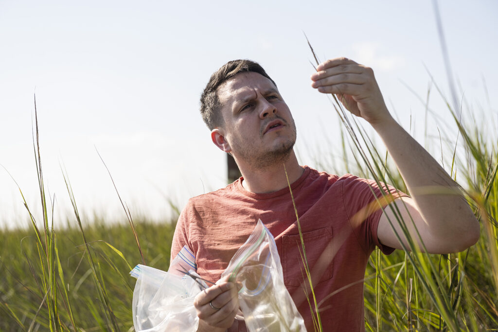 Georgia Southern SARC researching salt marsh habitat loss with new aquaponics garden