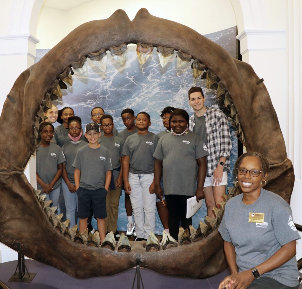 Georgia Southern education faculty receives 2021 Inspiring Programs in STEM Award from INSIGHT Into Diversity