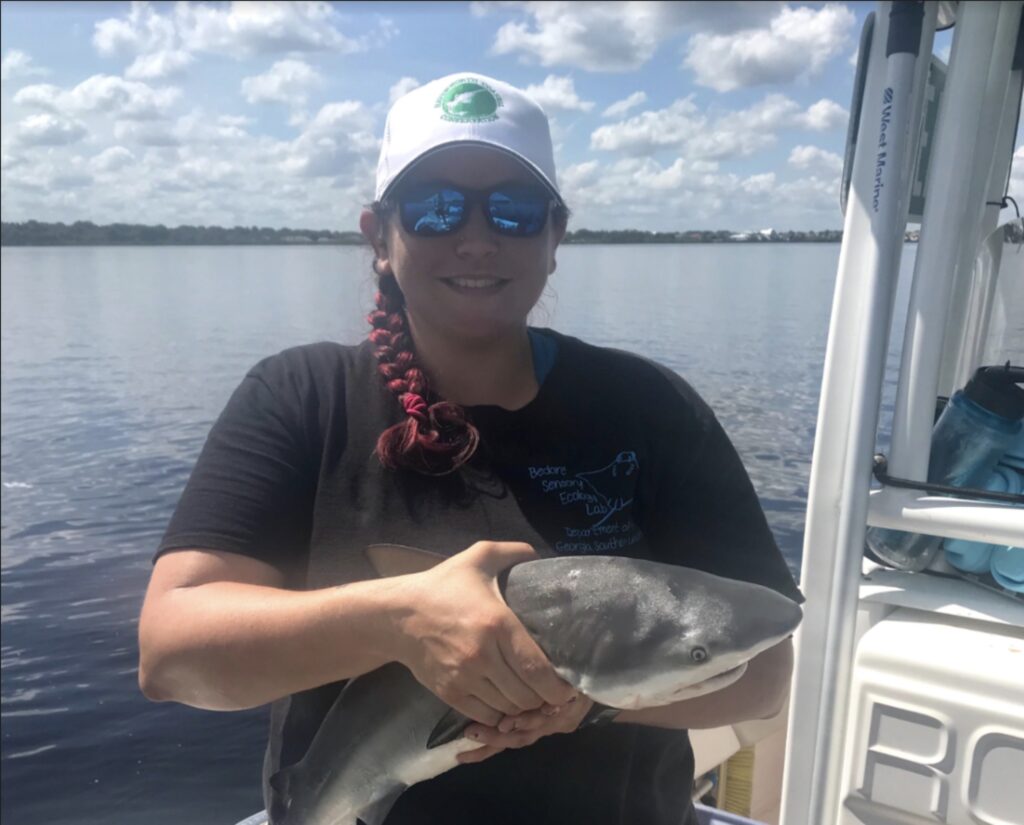 Georgia Southern professor featured on National Geographic’s ‘When Sharks Attack 360’; view on Hulu, Disney+ and Nat Geo WILD throughout July