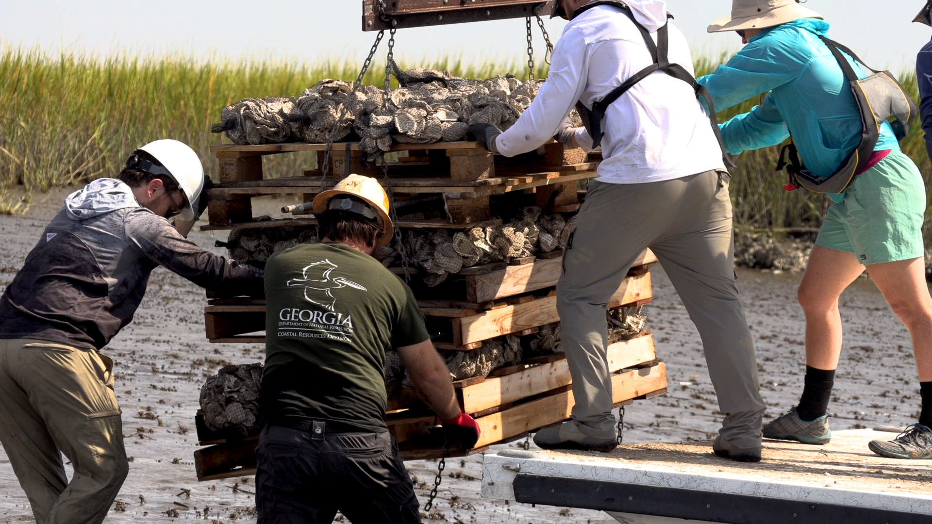 Georgia Southern University has partnered with the Georgia Department of Natural Resources and Yamaha Rightwaters to rejuvenate a section of the Savannah waterways for oyster beds. As part of these efforts, Eagle faculty and students recently installed bags of oyster shells along the coastline to build shelters for budding populations.