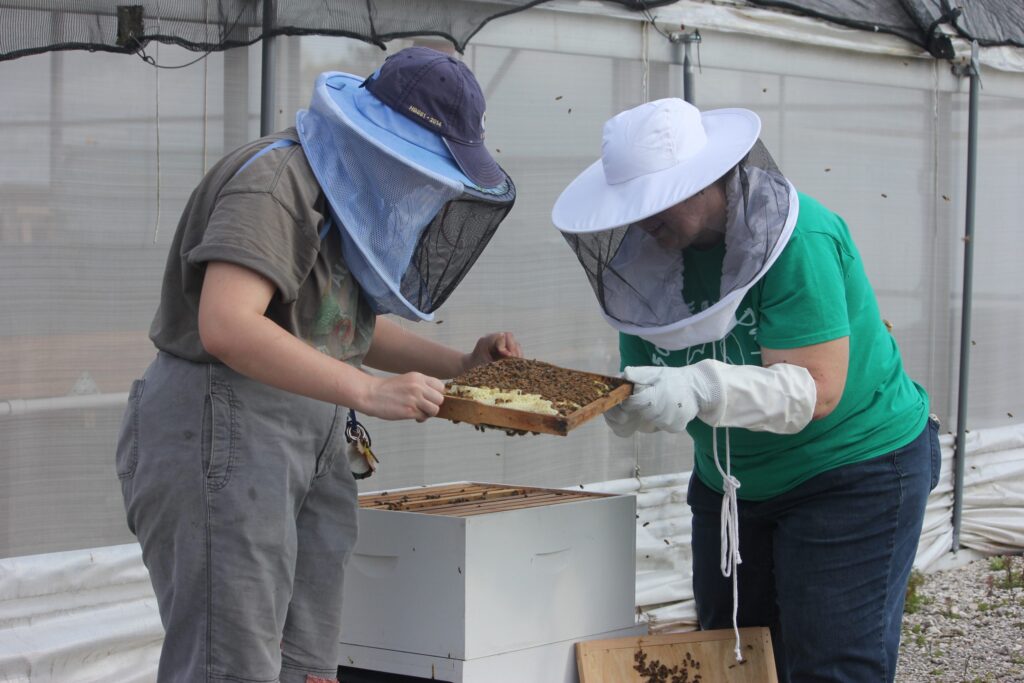 There are new residents buzzing around Georgia Southern’s  Armstrong Campus