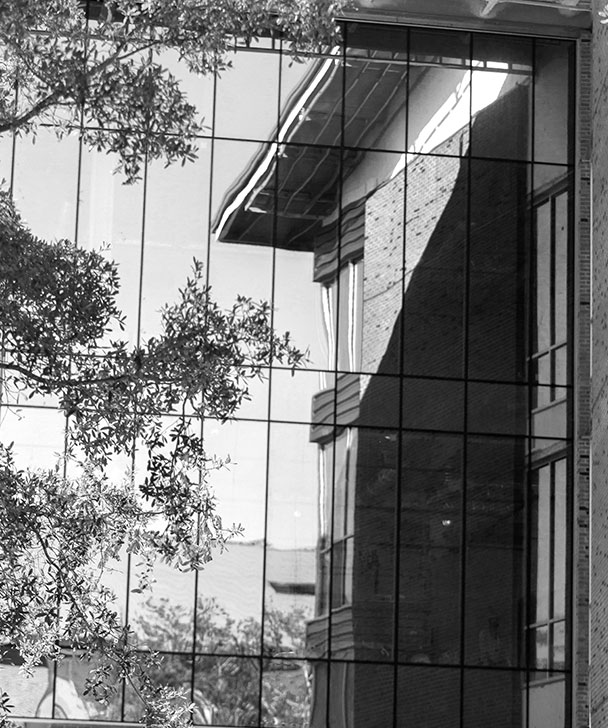 Reflection of a building with balconies and a tree in the glass windows of another building, creating a grid-like pattern. The image is in black and white.