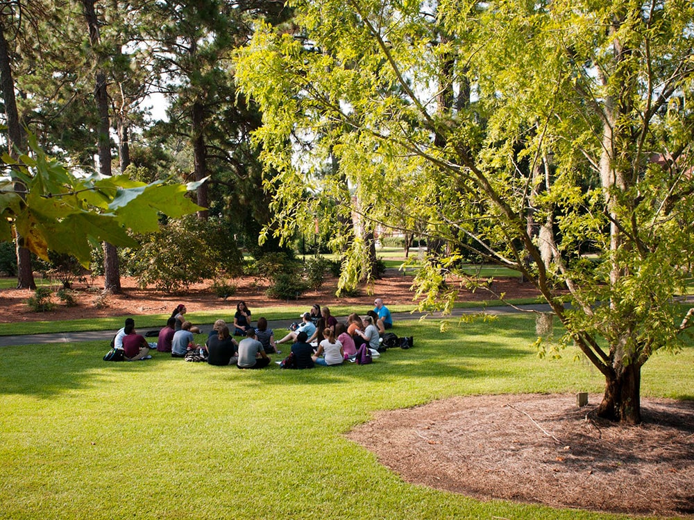 Students attend an outdoor lecture