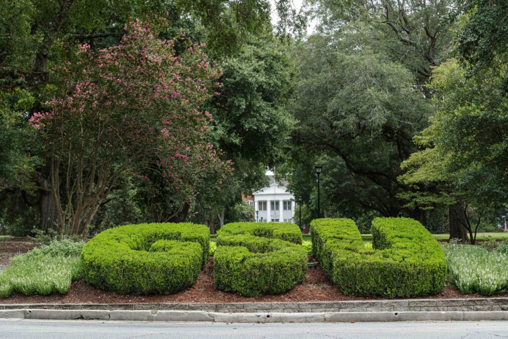 Georgia Southern University’s online computer science degree ranked sixth in the nation for affordability