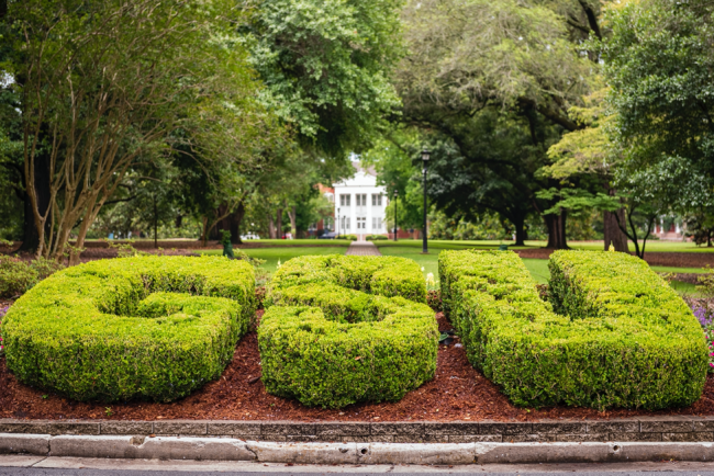The initiative between the Office of Leadership and Community Engagement and New Student & Family Programs allowed incoming students to contribute more than 760 books for the second consecutive year, underscoring their dedication to making a positive impact on their new community at the start of their Georgia Southern experience.
