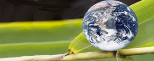 Earth Day Green