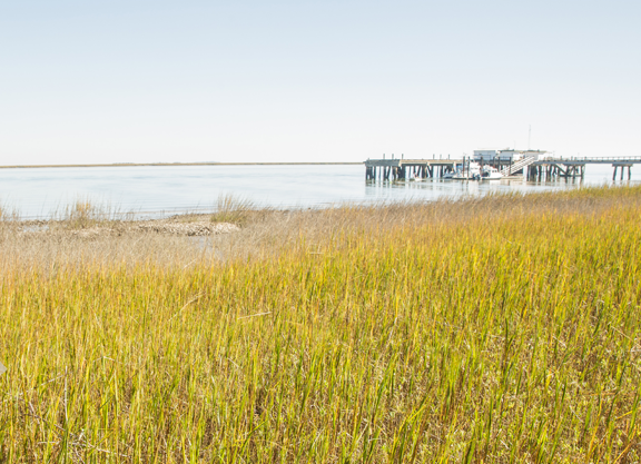 Picture of a field new a body of water and a pier